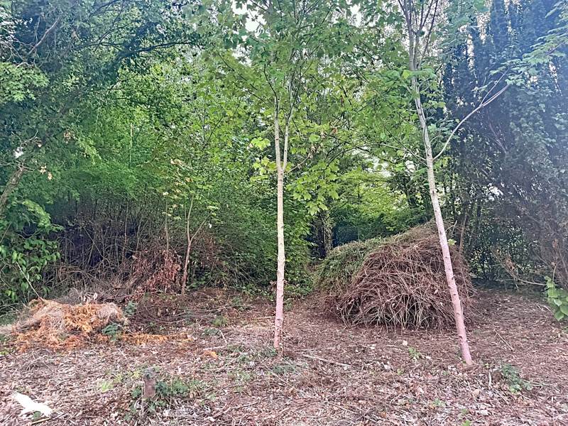 Vente Terrain Berchères-sur-Vesgre - -2651 m² - (28260)
