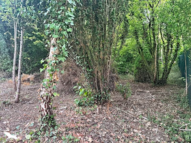 Vente Terrain Berchères-sur-Vesgre - -2651 m² - (28260)