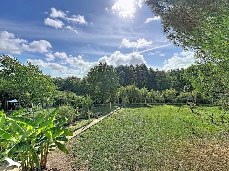 Vente Maison Saint-Marcel - 5 pièces -132 m² - (36200)