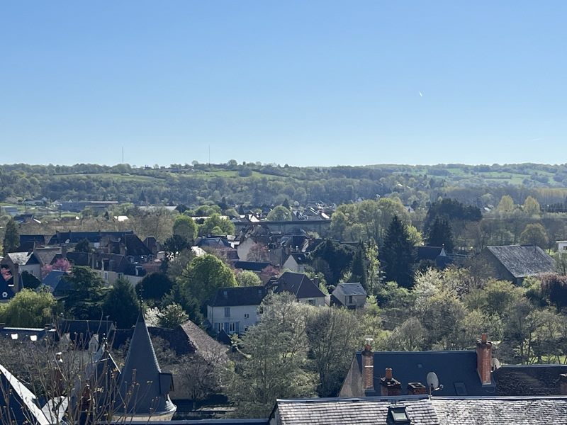 Vente Maison ARGENTON SUR CREUSE - 3 pièces -55 m² - (36200)