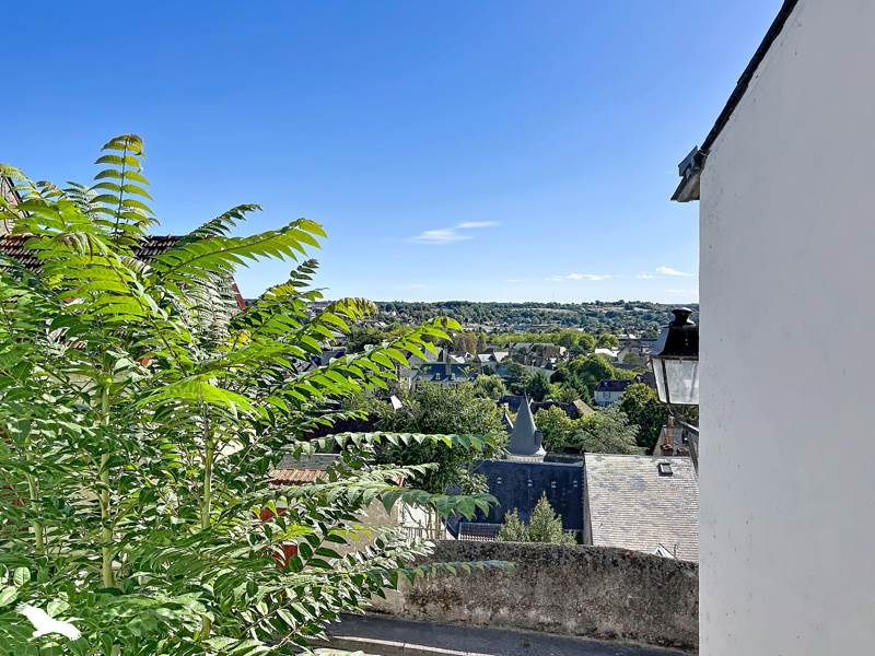 Vente Maison Argenton-sur-Creuse - 3 pièces -55 m² - (36200)