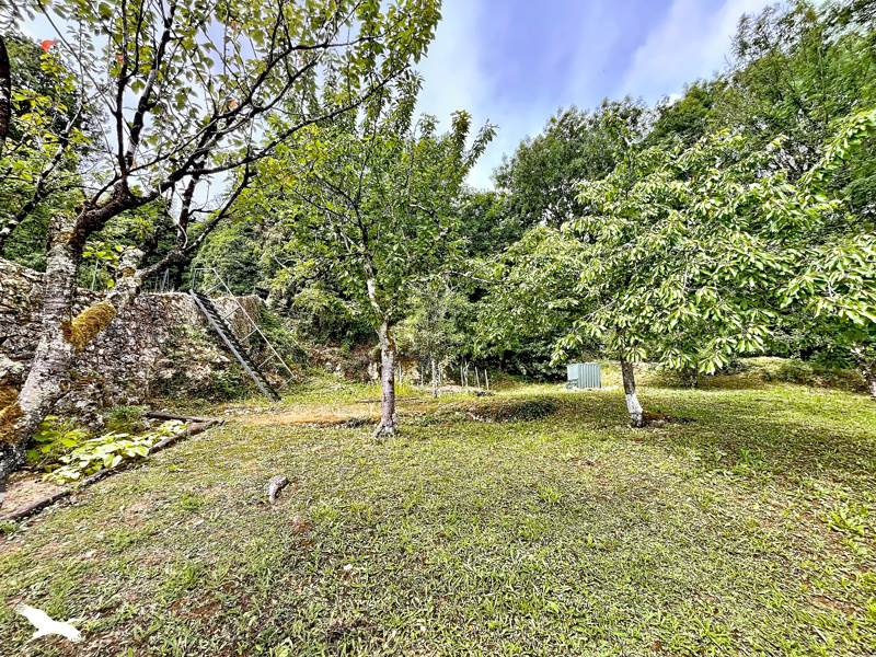 Vente Maison Argenton-sur-Creuse - 4 pièces -95 m² - (36200)