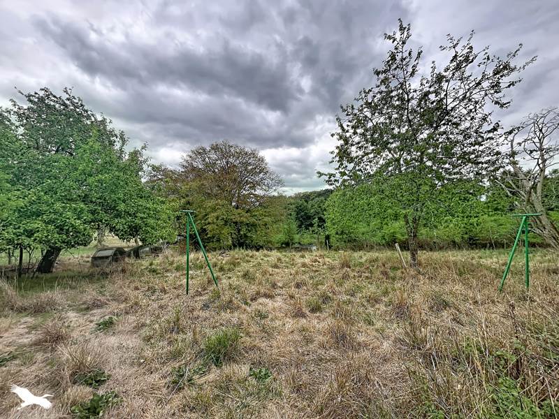 Vente Maison La Châtre-Langlin - 5 pièces -189 m² - (36170)