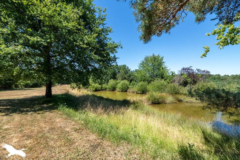 Vente Maison LACROPTE - 4 pièces -130 m² - (24380)