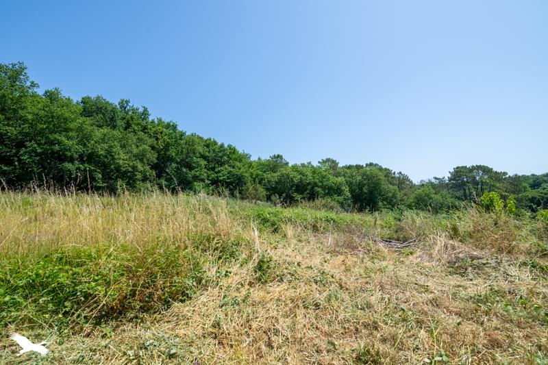 Vente Maison ST GENES DE LOMBAUD - 5 pièces -95 m² - (33670)