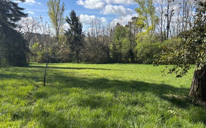 Vente Terrain ST GENES DE LOMBAUD - -1500 m² - (33670)