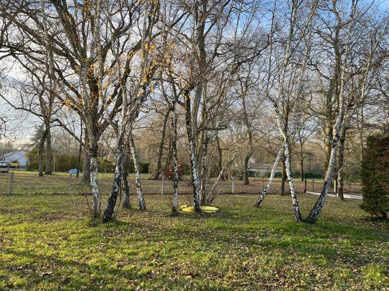 Vente Terrain SADIRAC - -1000 m² - (33670)