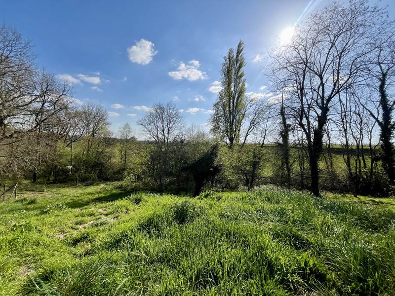 Vente Terrain CREON - -7642 m² - (33670)