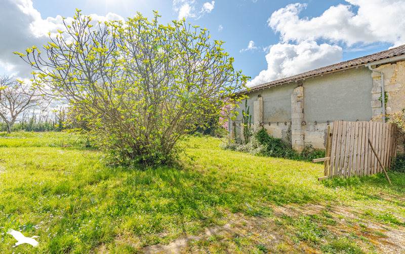 Vente Immeuble ESPIET - -  287 m² - (33420)