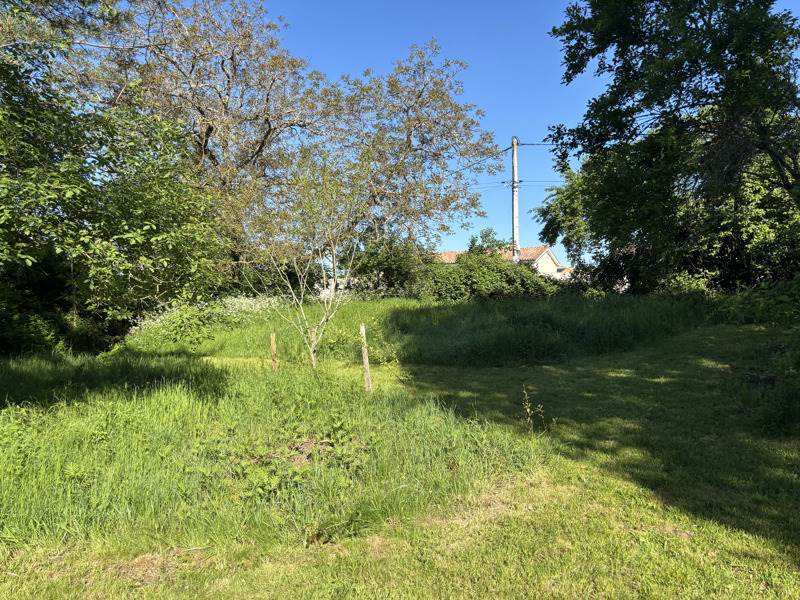 Vente Terrain BAIGNEAUX - -1000 m² - (33760)