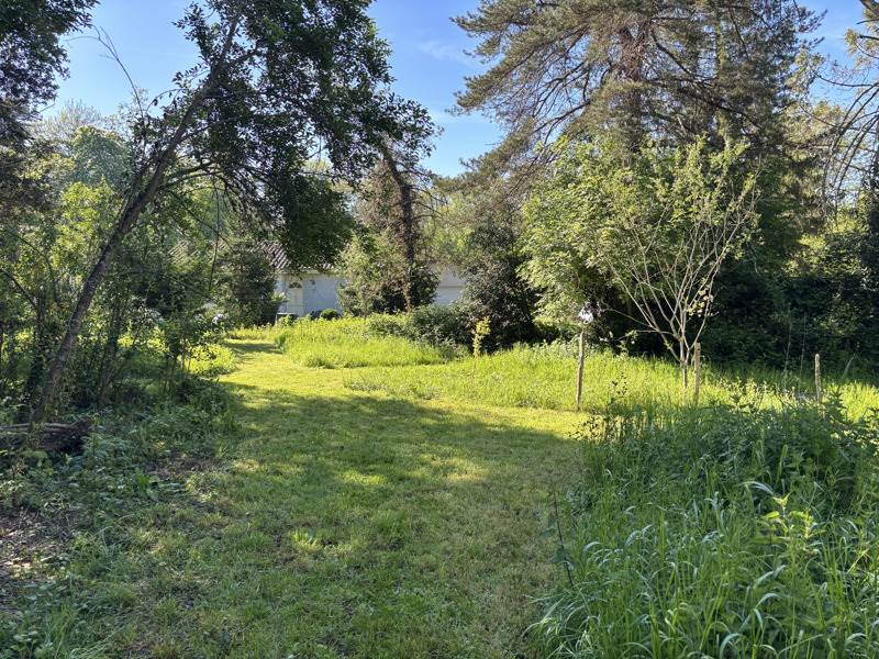 Vente Terrain BAIGNEAUX - -1000 m² - (33760)