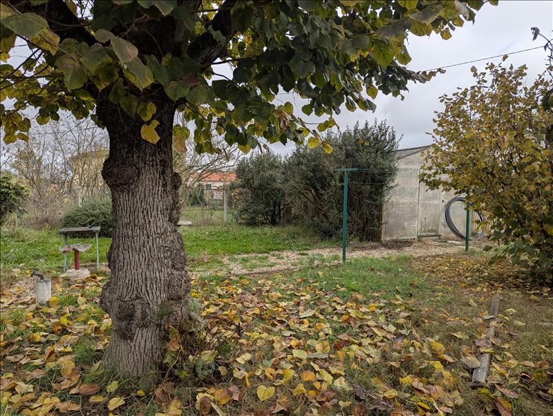 Vente Maison LAVAUR - 5 pièces -93 m² - (81500)
