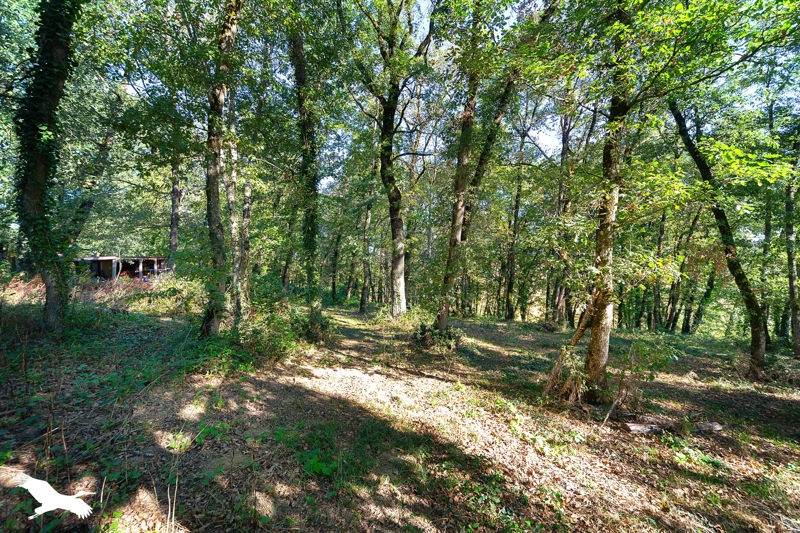 Vente Maison ST AGNAN - 6 pièces -170 m² - (81500)