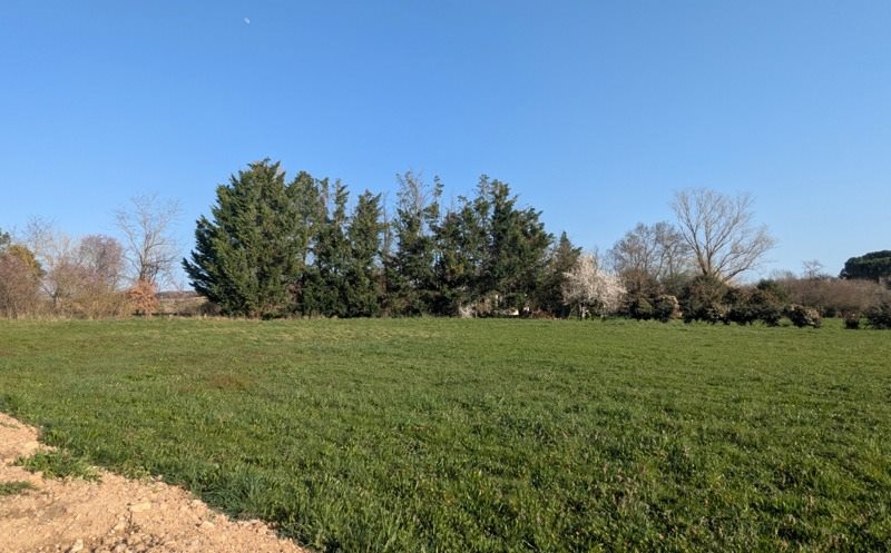 Vente Terrain PARISOT - -2253 m² - (81310)