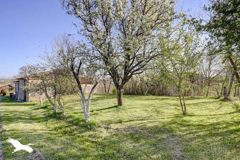 Vente Maison ALGANS - 5 pièces -140 m² - (81470)