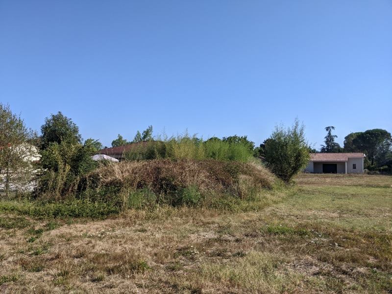 Vente Terrain LAVAUR - -1179 m² - (81500)