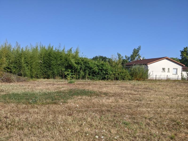 Vente Terrain LAVAUR - -1179 m² - (81500)