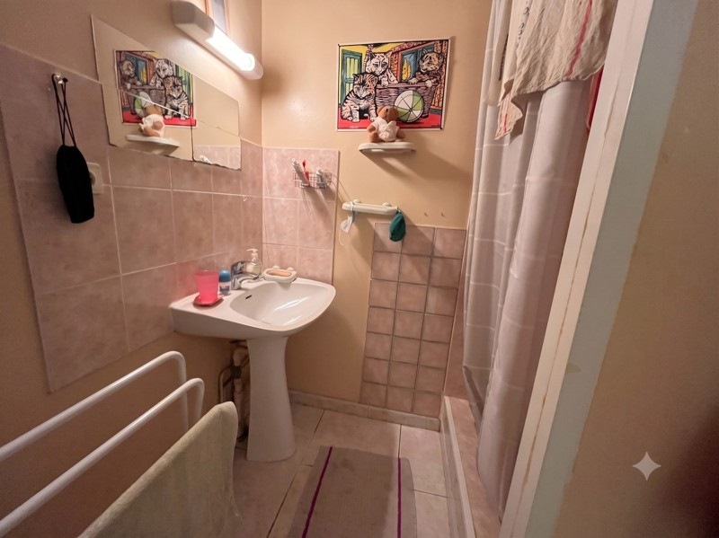 Vente Immeuble LAVAUR - -  240 m² - (81500)