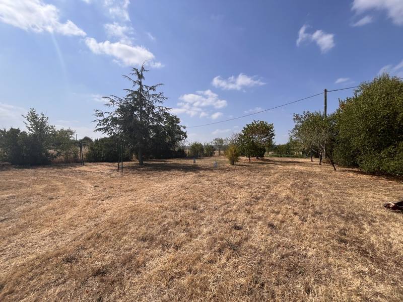 Vente Maison ST LIEUX LES LAVAUR - 4 pièces -125 m² - (81500)