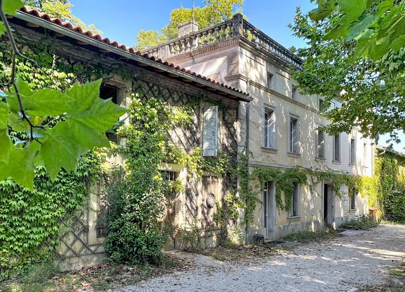 Vente Maison Ambres - 15 pièces -490 m² - (81500)