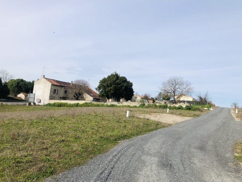 Vente Terrain SALLES D ANGLES - -577 m² - (16130)