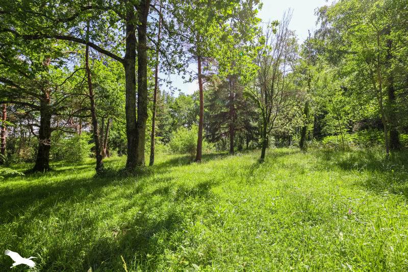 Vente Maison JULIENNE - 8 pièces -245 m² - (16200)