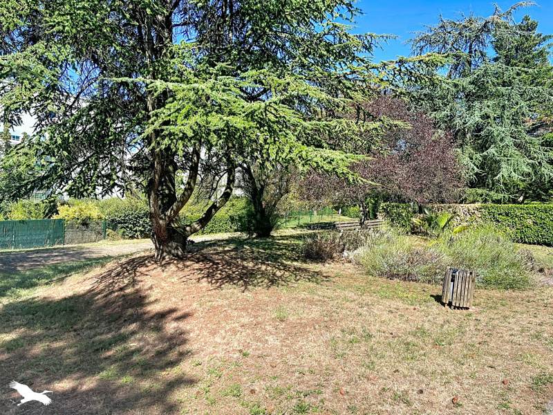 Vente Appartement CALUIRE ET CUIRE 69300 4 pièces - 81 m²