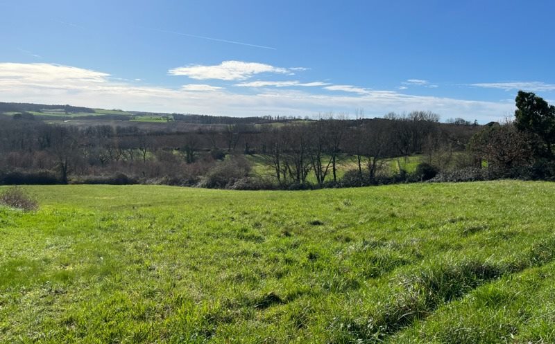 Vente Terrain STE COLOMBE EN BRUILHOIS - -6295 m² - (47310)