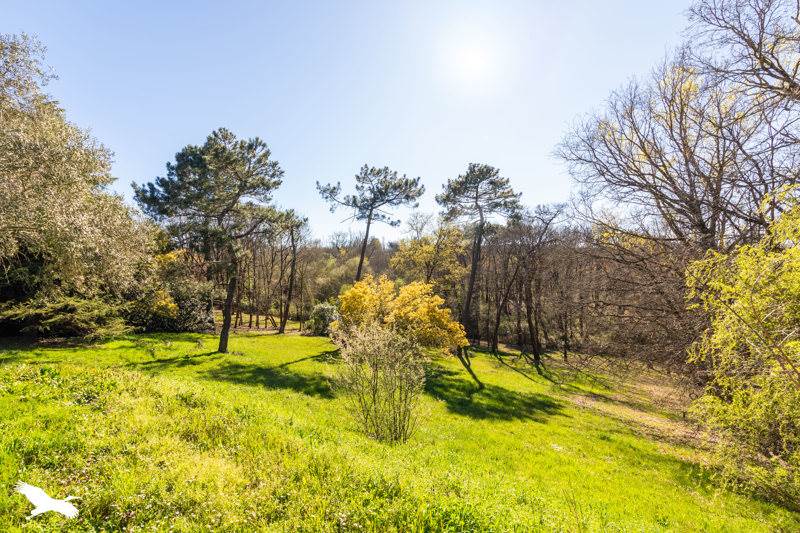 Vente Maison STE COLOMBE EN BRUILHOIS - 10 pièces -225 m² - (47310)