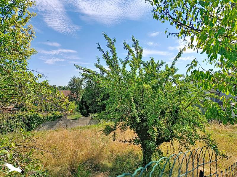 Vente Terrain JUZIERS - -501 m² - (78820)