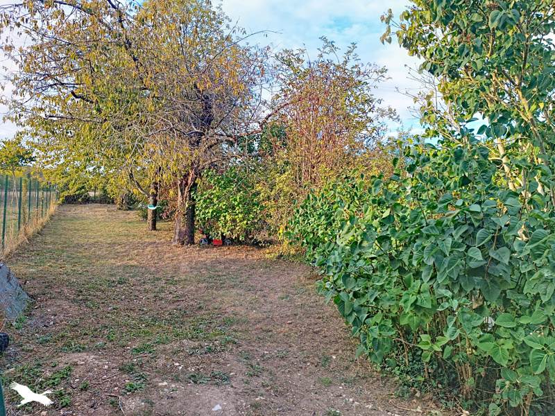Vente Maison Juziers - 1 pièce -30 m² - (78820)
