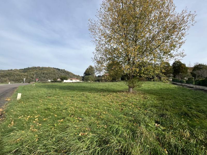 Vente Terrain ST CERE - -1517 m² - (46400)