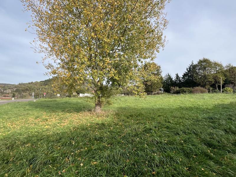 Vente Terrain ST CERE - -1517 m² - (46400)