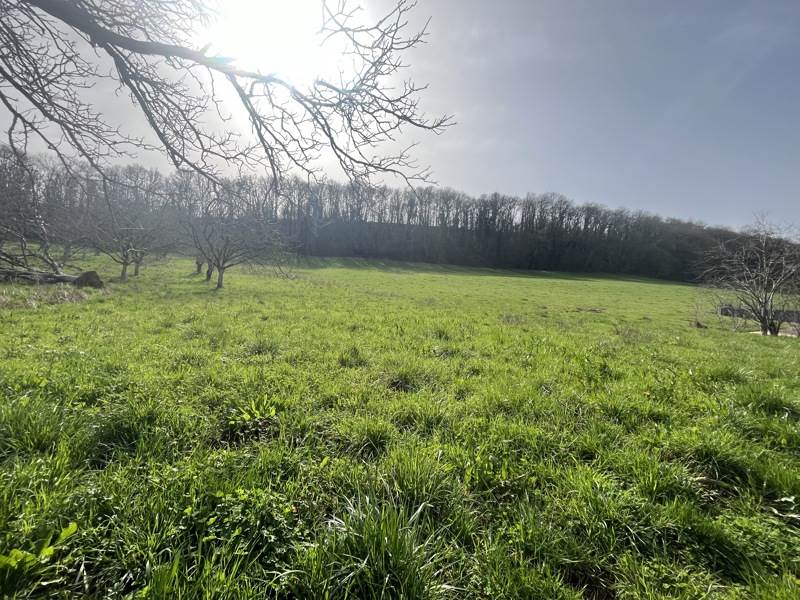 Vente Terrain AUTOIRE - -5730 m² - (46400)