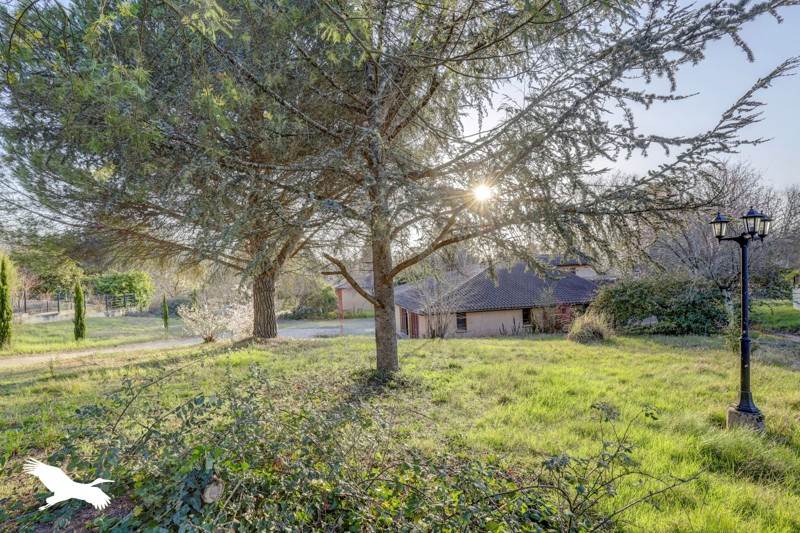 Vente Maison ST JEAN - 6 pièces -171 m² - (31240)