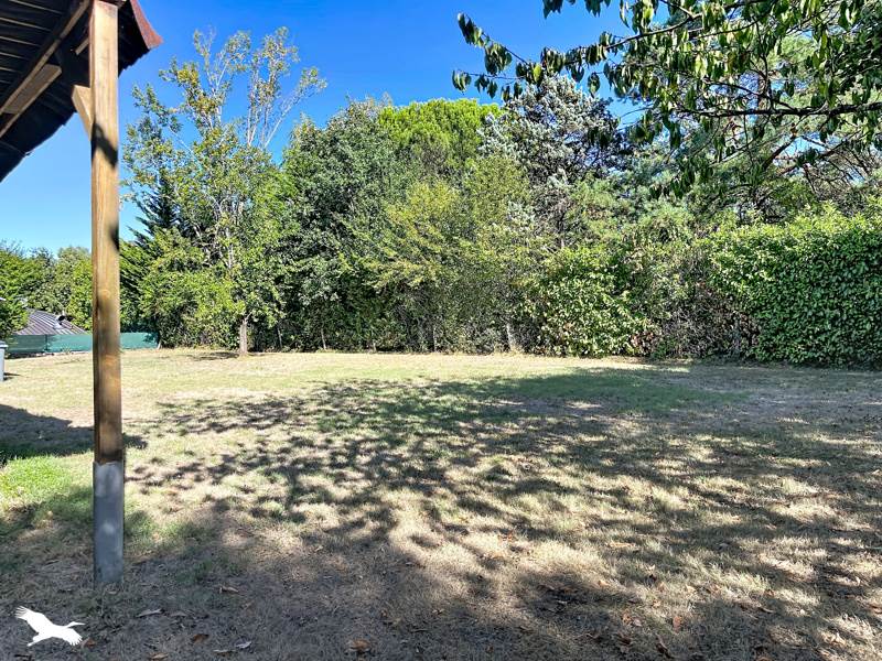 Vente Terrain Saint-Jean - -1220 m² - (31240)