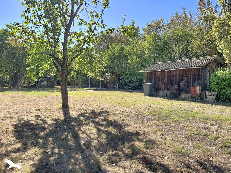 Vente Terrain Saint-Jean - -1220 m² - (31240)