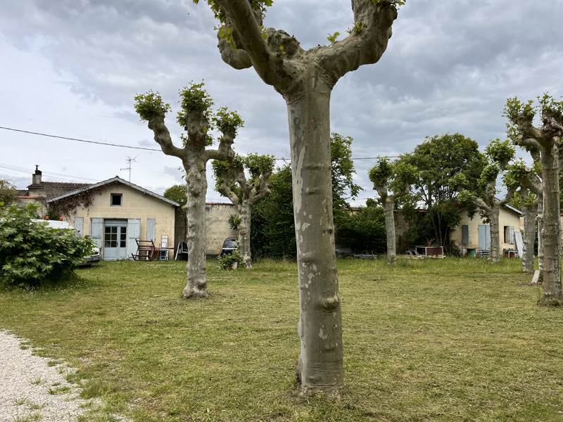 Vente Château ARVEYRES - 11 pièces -630 m² - (33500)