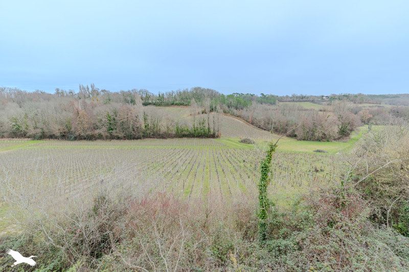 Vente Maison PUISSEGUIN - 5 pièces -95 m² - (33570)