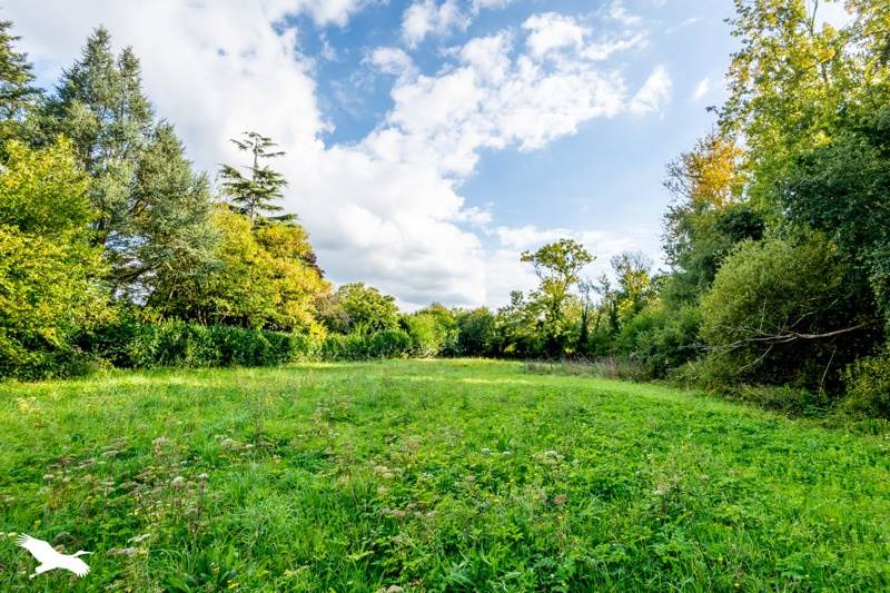 Vente Maison PLESTIN LES GREVES - 5 pièces -94 m² - (22310)