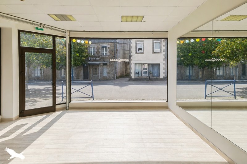 Vente Immeuble LANMEUR - -  168 m² - (29620)
