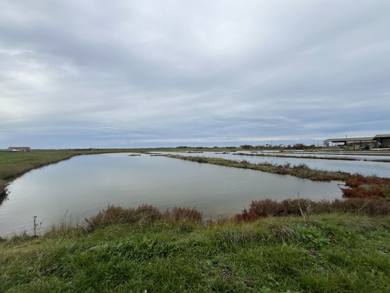 Vente Maison NIEULLE SUR SEUDRE - -85 m² - (17600)