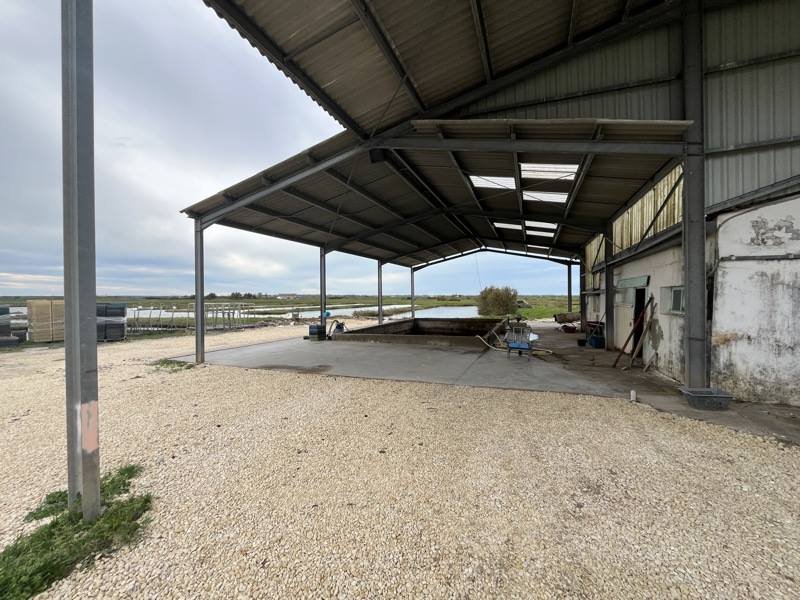 Vente Maison NIEULLE SUR SEUDRE - -85 m² - (17600)