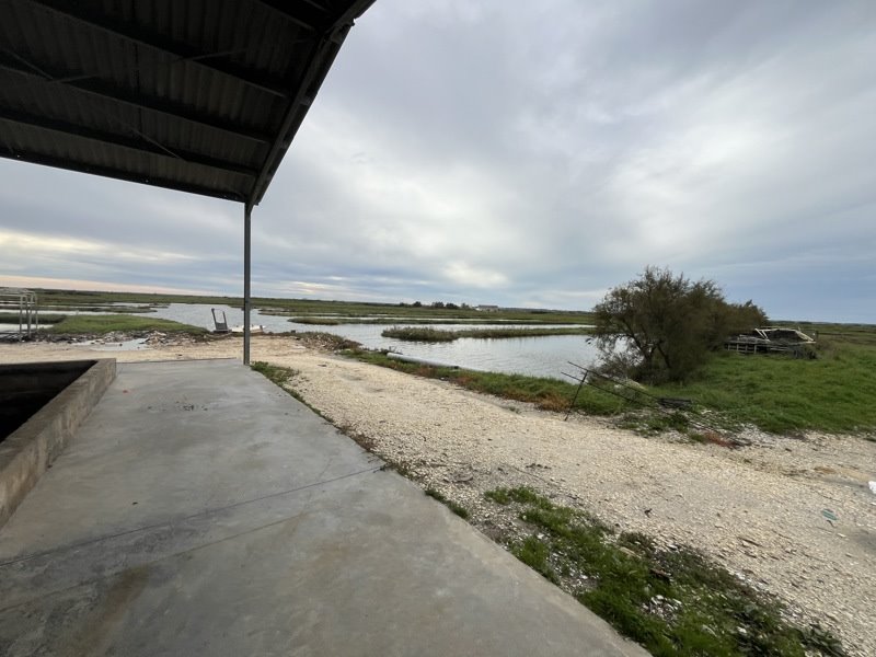 Vente Maison NIEULLE SUR SEUDRE - -85 m² - (17600)