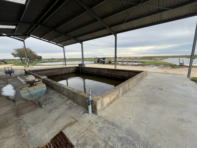 Vente Maison NIEULLE SUR SEUDRE - -85 m² - (17600)