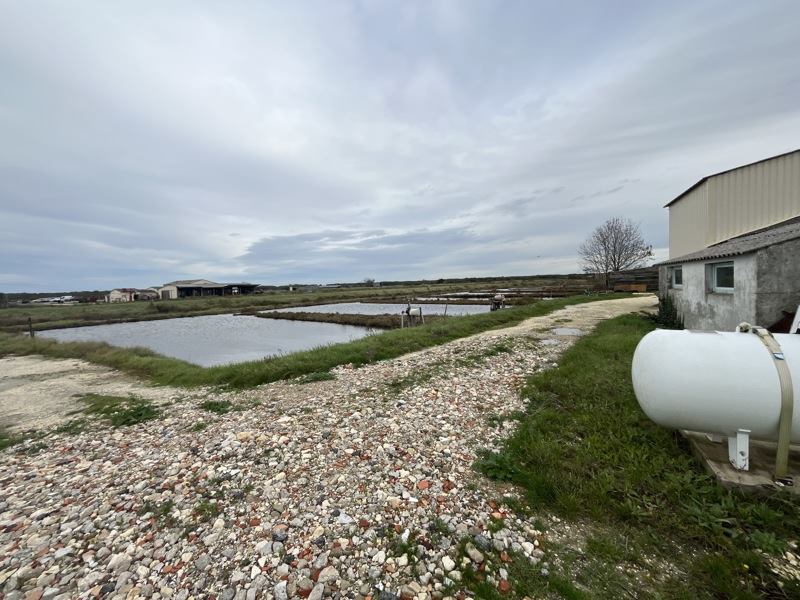 Vente Maison NIEULLE SUR SEUDRE - -85 m² - (17600)