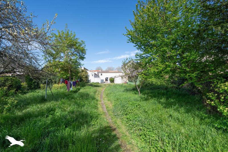 Vente Immeuble MARENNES HIERS BROUAGE - -  231 m² - (17320)