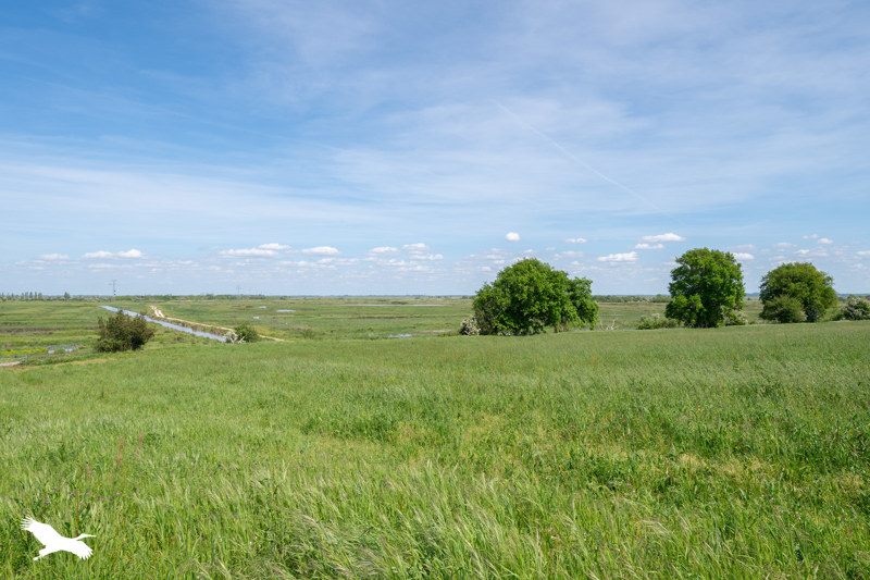 Vente Maison ST JUST LUZAC - 4 pièces -150 m² - (17320)