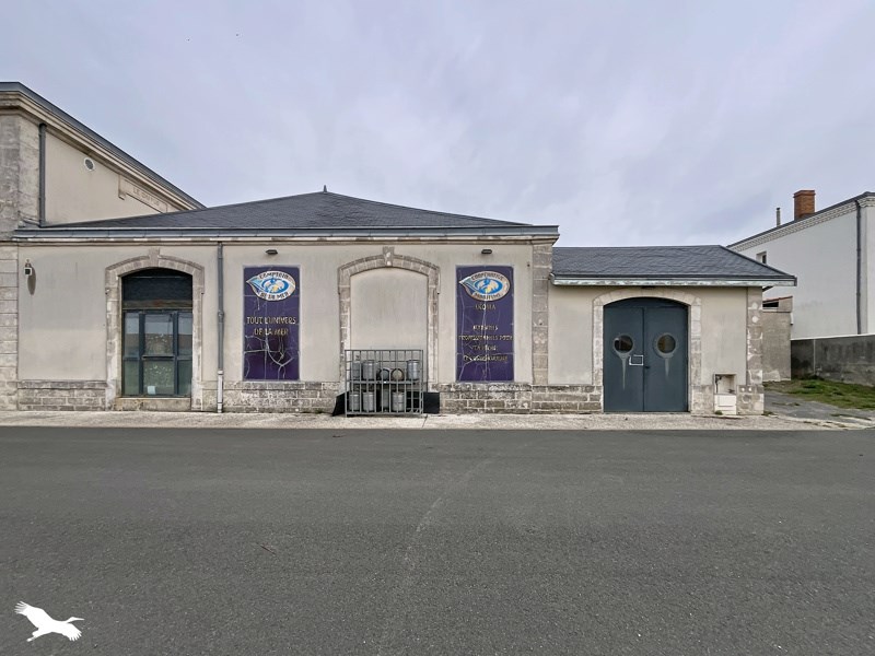 Vente Immeuble Bourcefranc-le-Chapus - -  302 m² - (17560)