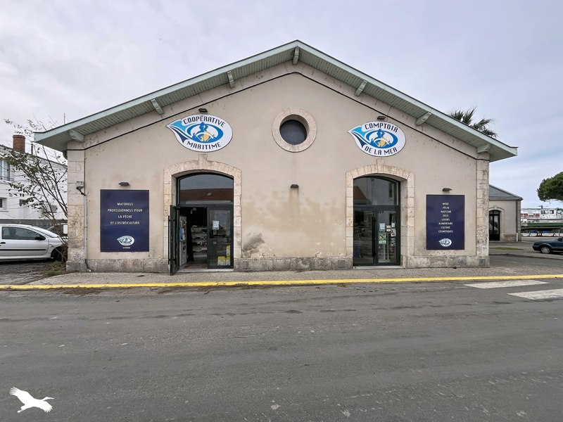 Vente Immeuble Bourcefranc-le-Chapus - -  302 m² - (17560)